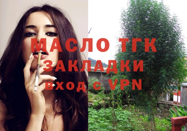 ешки Гусь-Хрустальный